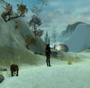 Approaching Iron Horse Mine
