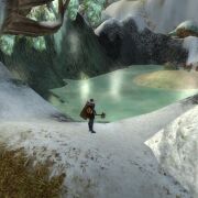 A Frozen Pond