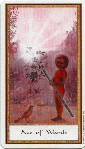 The Fool